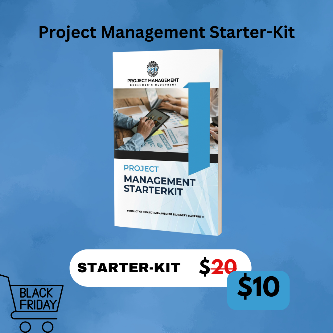 Project manager resources - Black Friday Sales